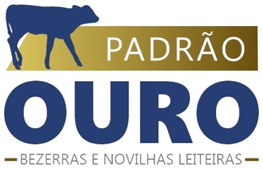 Padrão Ouro